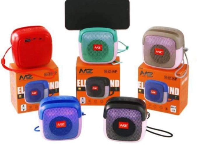 MZ M424SP Portable Bluetooth Speaker