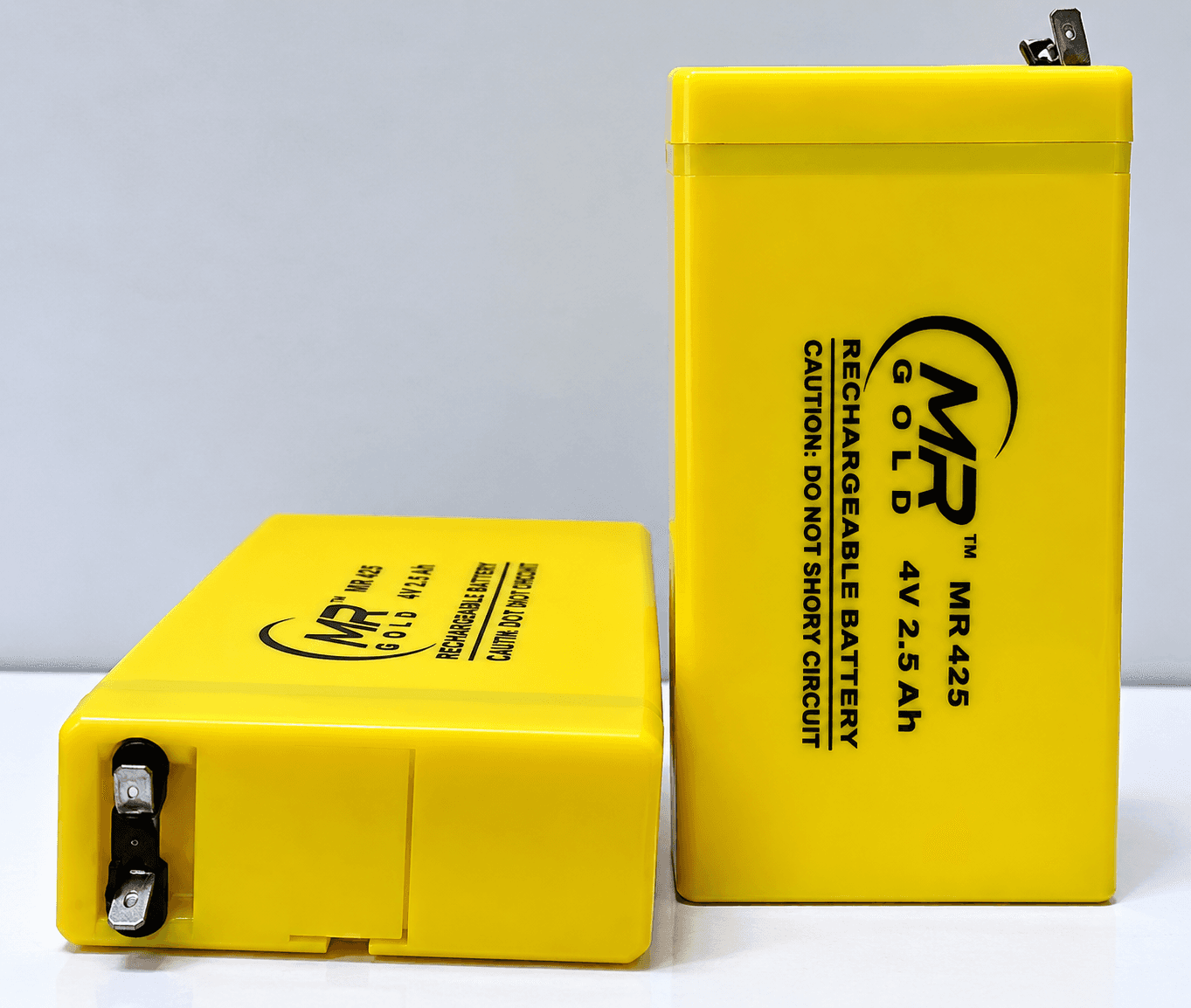 MR Gold 4V 2.5Ah SLA Rechargeable Battery
