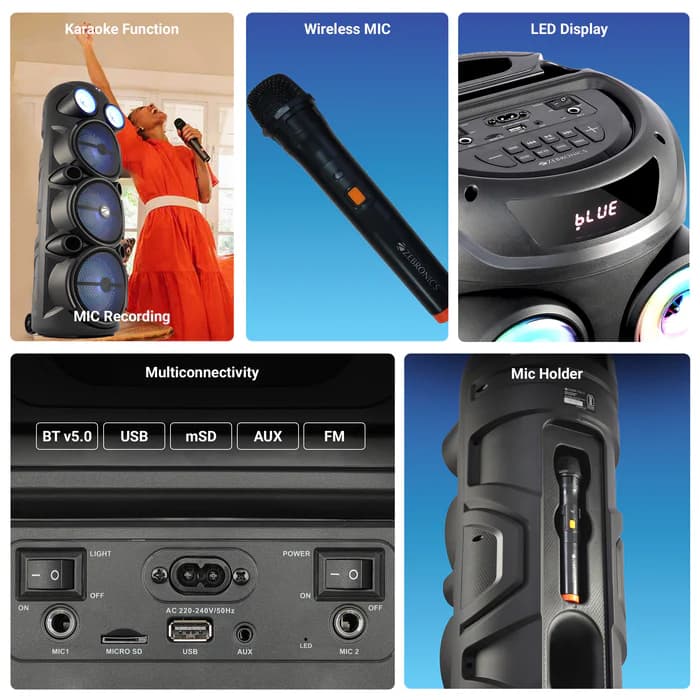 Zeb-Vigor 100 DJ Speaker image 2