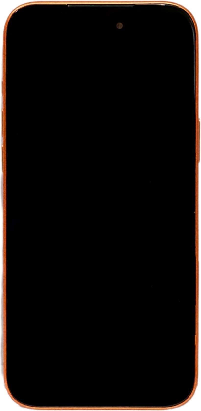 Foneme FM 1 F200i image 3