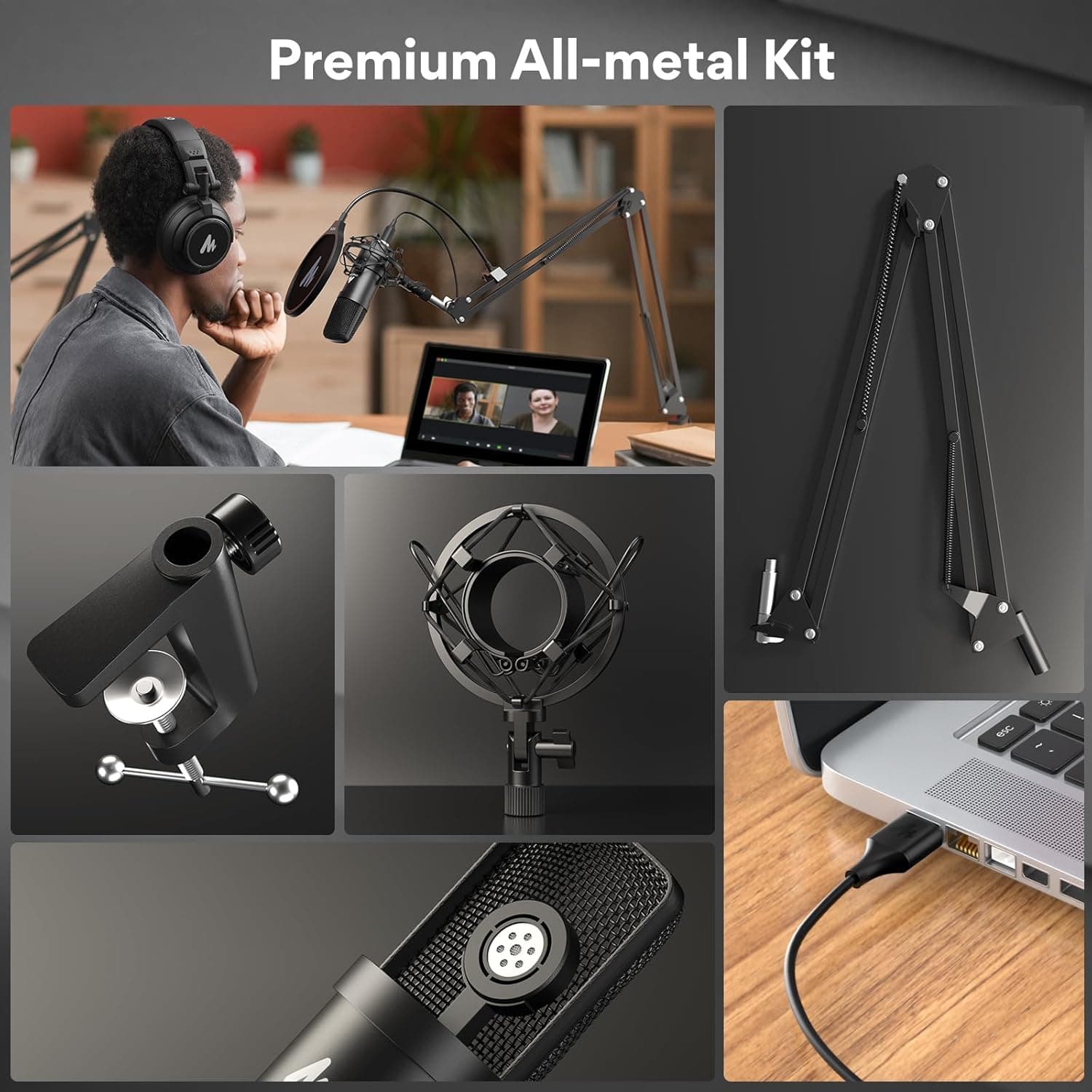 EAS 1605 Professional Cardioid Condenser Microphone image 2