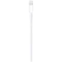 iPhone 7 Lightning to USB Cable image 3